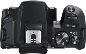 La nuova Canon EOS 250D: La nuova reflex super compatta a basso costo per YouTube !