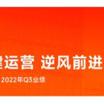 Report Xiaomi Q3 2022