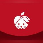 Apple AirPods Pro Anno del Conigio